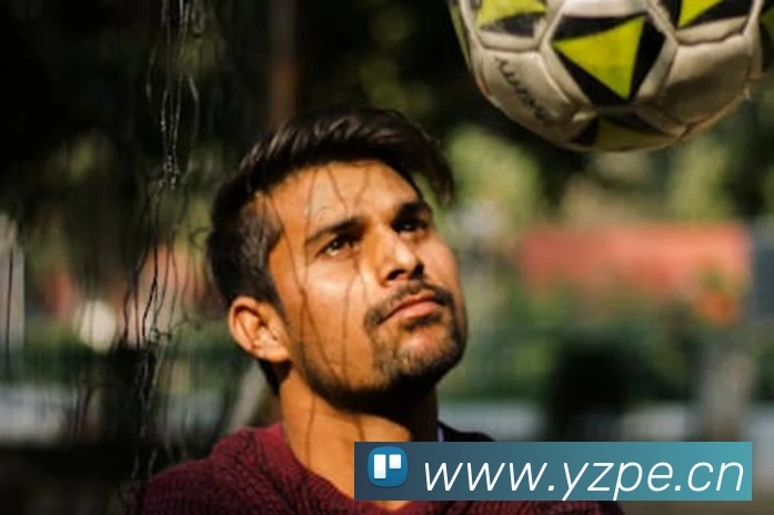 开云在线手机登陆平台生态图